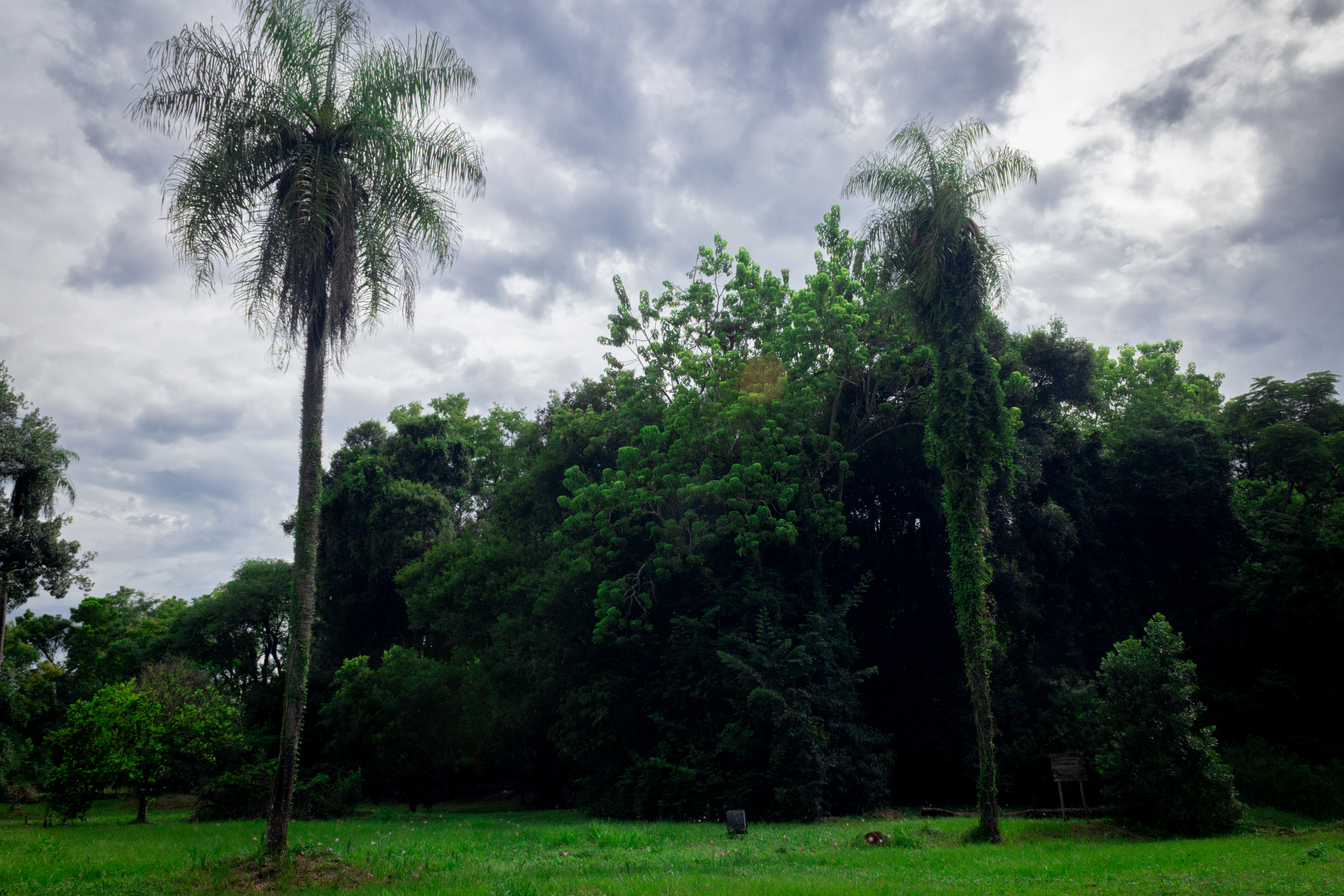RUINAS
